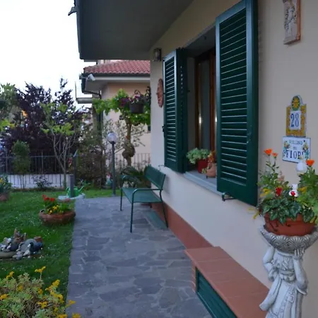 Belvedere