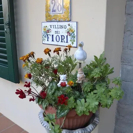 Bed & Breakfast Belvedere Montale (Tuscany)