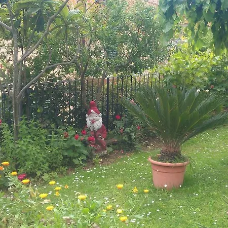 Bed & Breakfast Belvedere Montale (Tuscany)