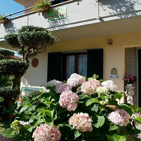 Bed & Breakfast Belvedere *