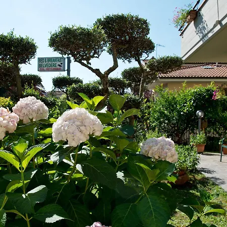 Belvedere